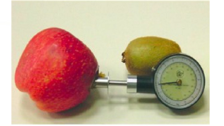 tr turoni fruit penetrometer 53200.jpg